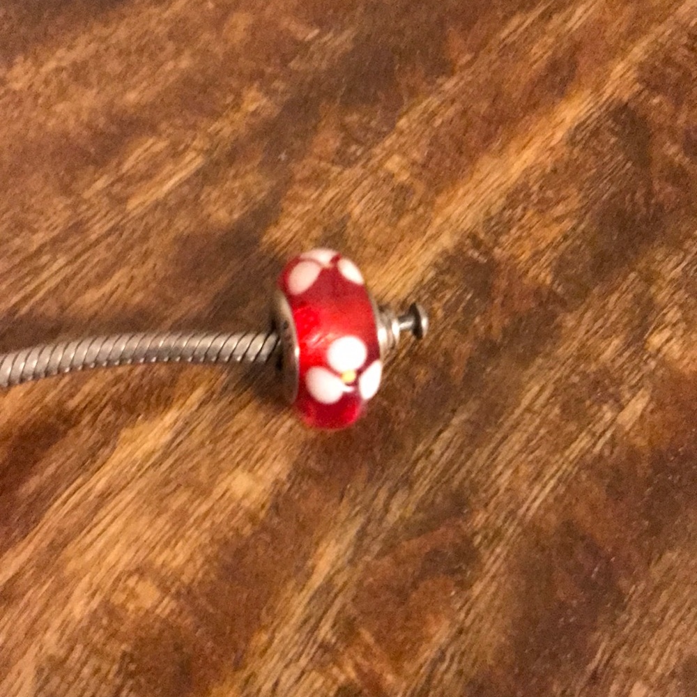 Pandora charm